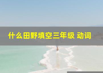 什么田野填空三年级 动词